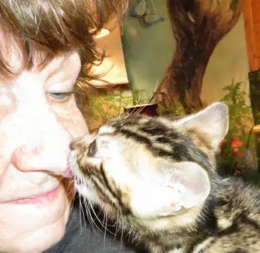 A woman kissing her cat on the cheek.