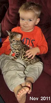 A small child sitting on the couch with a cat.