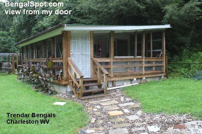 Wooden porch with lush green surroundings.